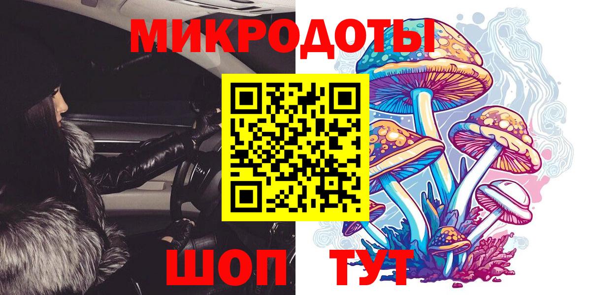 Усть-Джегута  Галлюциногенные грибы Cubensis  где можно купить   Вход с VPN 