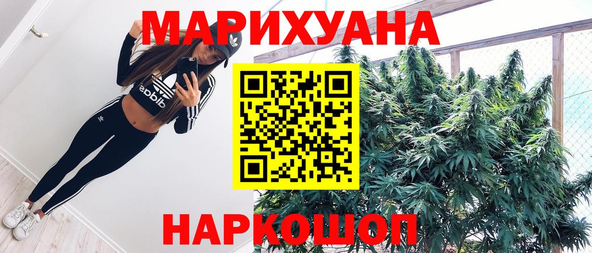 МАРИХУАНА SATIVA & INDICA  Канабис White Widow  Каннабис Bruce Banner  Усть-Джегута  Вход с VPN  Канабис планчик 